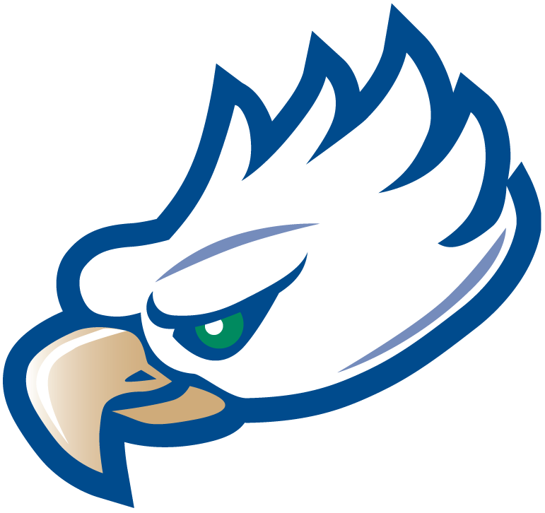 Florida Gulf Coast Eagles 2002-Pres Partial Logo DIY iron on transfer (heat transfer)